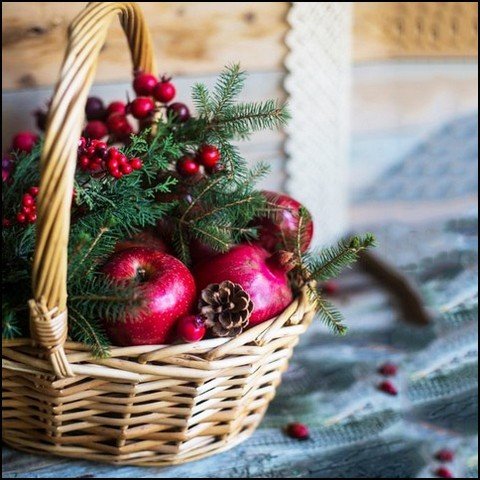 عکس انار فانتزی