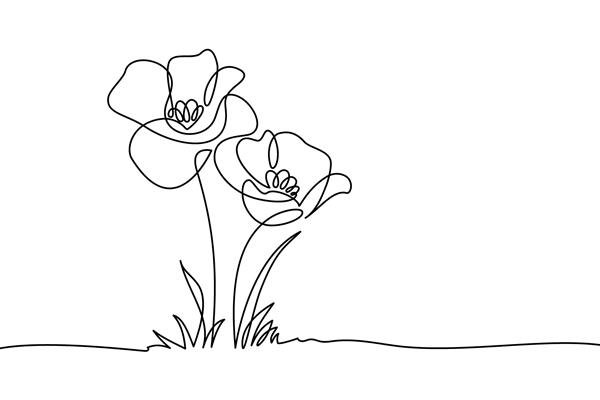 عکس مینیمال برای نقاشی