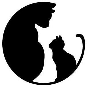 عکس مینیمال برای نقاشی