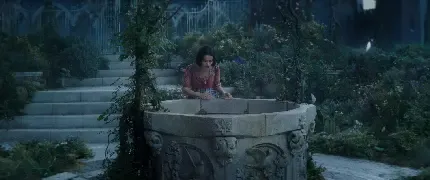 بک گراند سفید
