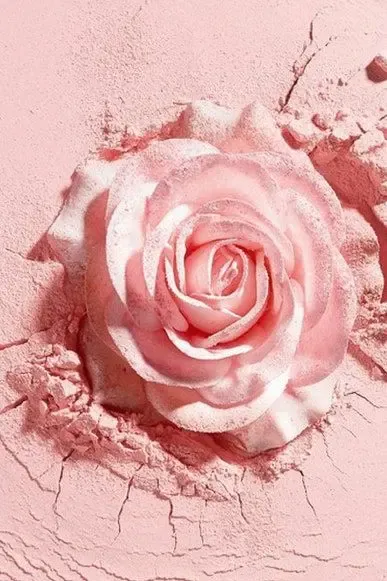  بک گراند مینیمال صورتی