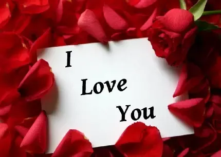  بک گراند مشکی عاشقانه دونفره
