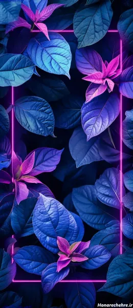 بک گراند بنفش کیوت