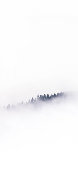 بک گراند سفید برای عکاسی
