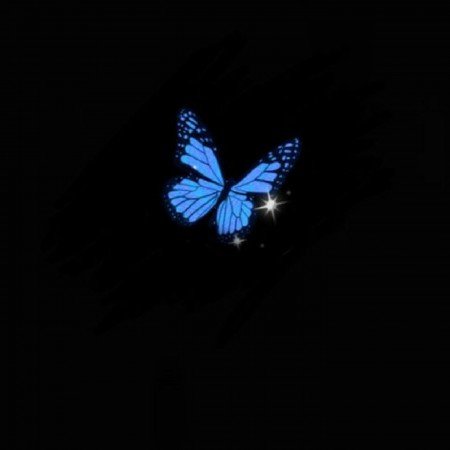  عکس مینیمال پروانه