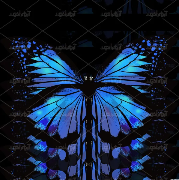  عکس پروانه ابی واقعی