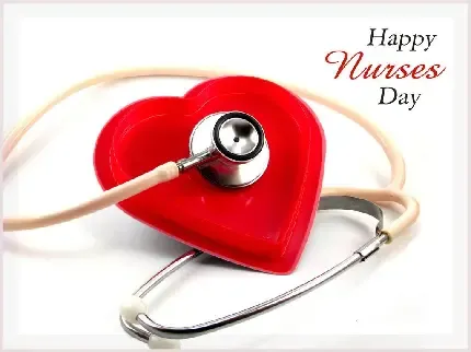  عکس پرستار زیبا