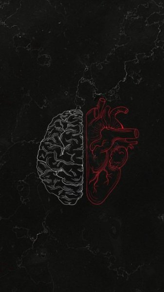  عکس پس زمینه سیاه