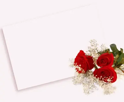عکس زمینه مشکی عاشقانه