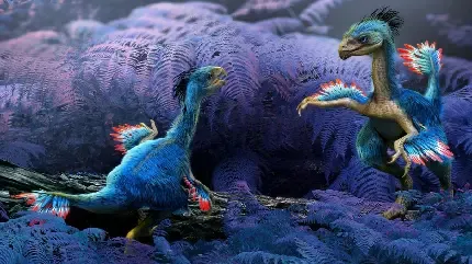  عکس جوجه برای پروفایل