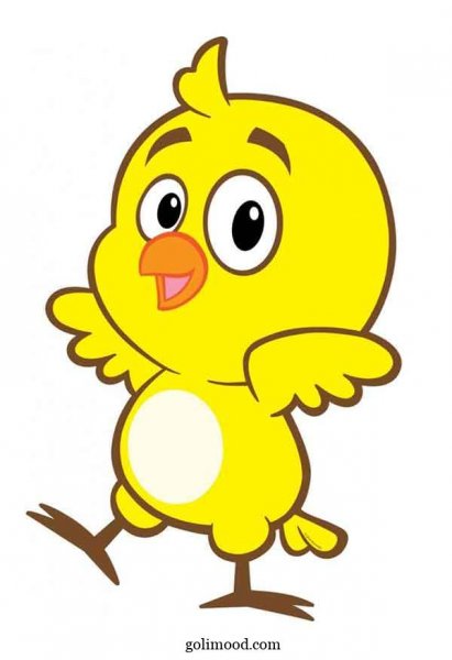  عکس جوجه کیوت