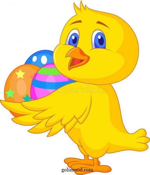  عکس جوجه کیوت