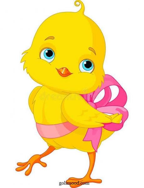  عکس جوجه کیوت