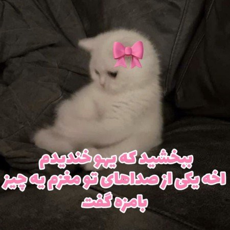  عکس جوجو برای پروفایل