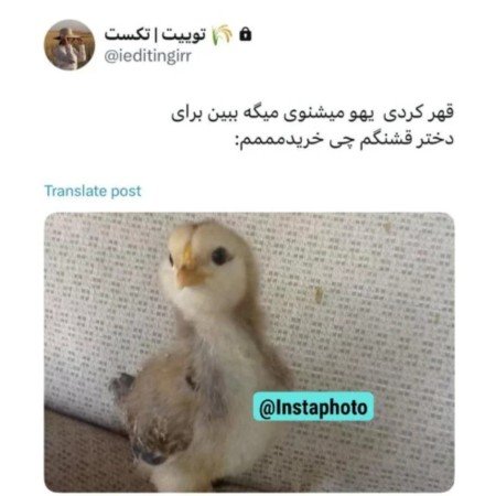  عکس جوجو برای پروفایل