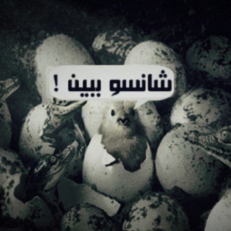  عکس جوجو برای پروفایل