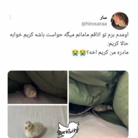  عکس جوجه کیوت کارتونی