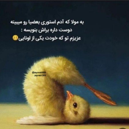  عکس جوجه برای پروفایل کیوت
