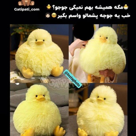  عکس جوجه برای پروفایل کیوت