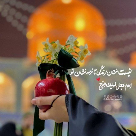  عکس مینیمال حرم امام رضا