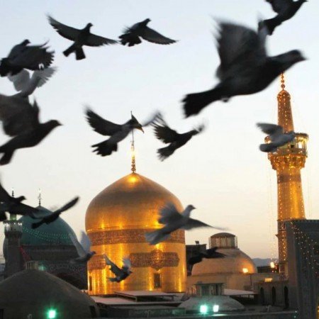  عکس مینیمال حرم امام رضا