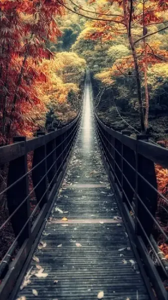  دانلود والپیپر طبیعت 4k