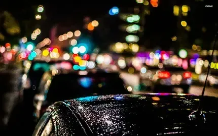  دانلود والپیپر طبیعت 4k
