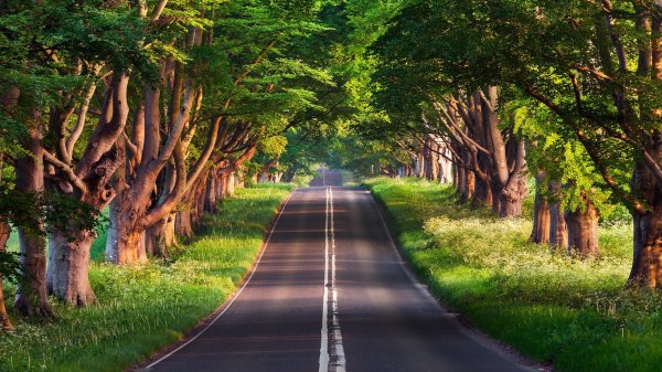  دانلود والپیپر طبیعت برای کامپیوتر full hd
