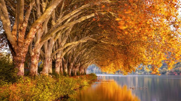 دانلود والپیپر طبیعت برای کامپیوتر full hd