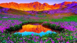  دانلود عکس طبیعت با کیفیت بالا 8k برای کامپیوتر