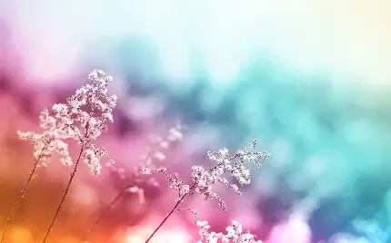  والپیپر 4k طبیعت برای گوشی