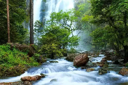  والپیپر 4k طبیعت برای گوشی