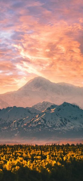  تم طبیعت برای گوشی