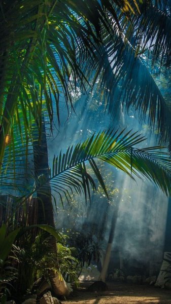  عکس طبیعت 4k