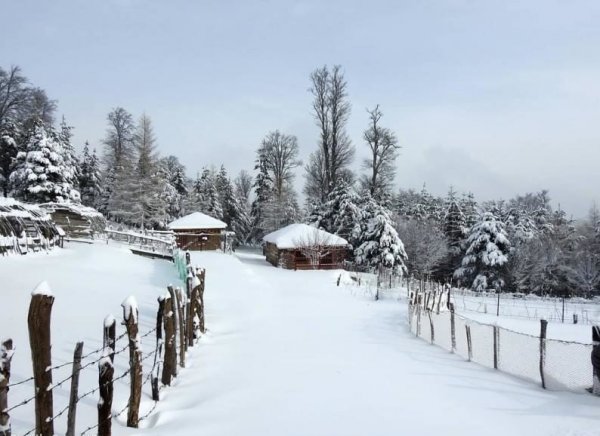  عکس طبیعت برای استوری
