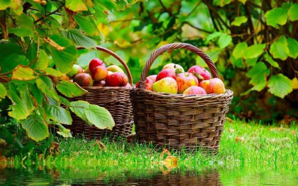  عکس طبیعت ساده