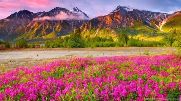  عکس طبیعت ساده
