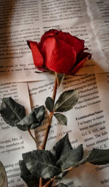  عکس طبیعت فیک برای استوری
