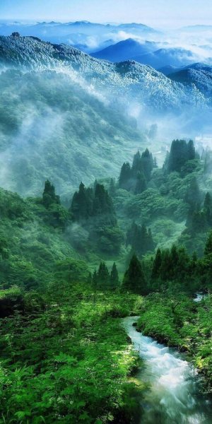  طبیعت زیبا 4k