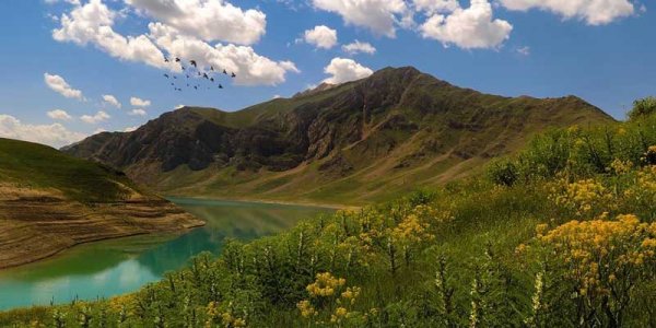  عکس طبیعت فورکی