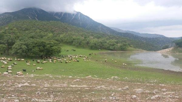  طبیعت زیبای ایران
