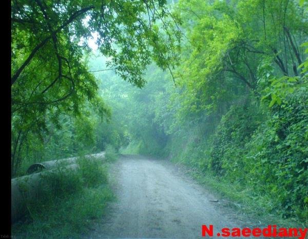  عکس طبیعت ایران واقعی