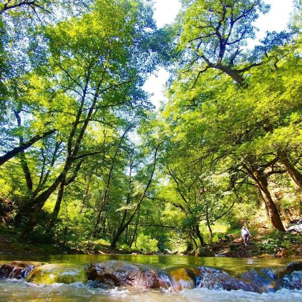  عکس طبیعت ایران واقعی