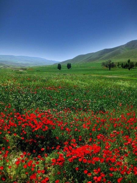  عکس طبیعت ایران واقعی