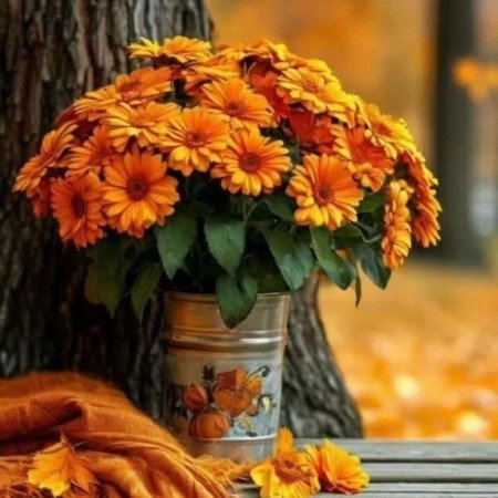 عکس های صبح بخیر انگیزشی