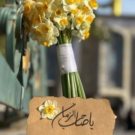  عکس کوروش کبیر با کیفیت بالا