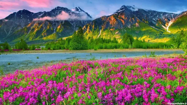  عکس طبیعت 8k