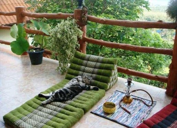 عکس خنده دار حیوانات با لباس