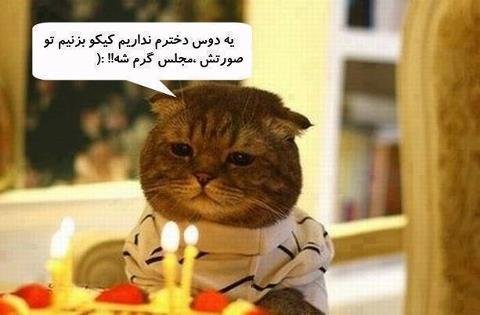 عکس خنده دار حیوانات با لباس