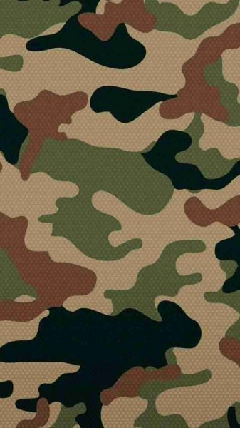  پس زمینه پلنگی نظامی